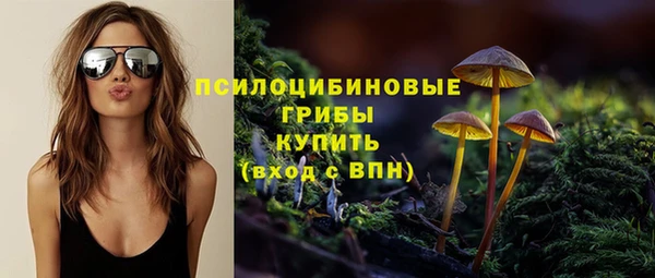 прущая мука Михайлов
